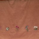 꽃담민박 이미지