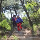 참어울림 이미지