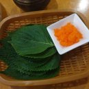 제주의삶 | 천안 신방동 맛집 해녀장 방문 후기: 제주의 바다를 품은 숙성회의 깊은 맛