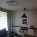 순돌이네펫택시 이미지