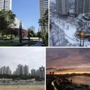 롯데금성부동산공인중개사사무소 네이버블로그