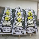 BHS한서병원 이미지