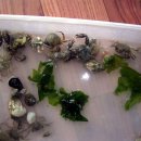 칠보초교 이미지