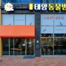 태양 동물병원 이미지