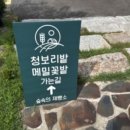 힐링베이커리