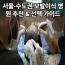 강남로미모의원 | 서울·수도권 모발 이식 병원 추천 &amp; 선택 가이드 (2025 최신판)