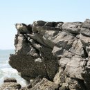 학암포 분점도 이미지