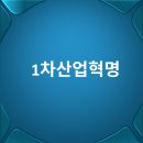 <평생학습도시 - 4차 산업혁명시대 > 메타버스 크리에이터 | 4차 산업과 유망직업 20가지