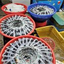 민물건강원 이미지