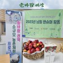 솔바람권역마을 이미지