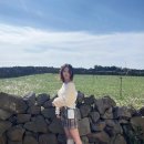 스퀘어베이 | 제주 모녀여행 서쪽 오션뷰 깔끔한 서귀포 감성숙소 스퀘어베이 후기