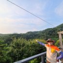 게으른 악어 이미지