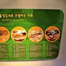 주남저수지생태학습관 Daum카페