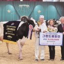 기량축산 이미지