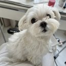 다호동물병원 이미지