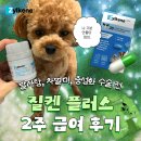 알약플러스 | 질켄플러스 급여후기 강아지 발사탕 차멀미 중성화수술 전후 일반 질켄과 차이점은?
