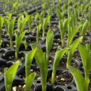 바우농장2 이미지