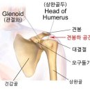 새로워 GYM 네이버블로그