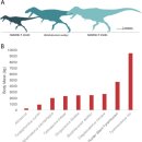베르소A | 백두산호랑이가 한 방? 뉴멕시코의 신종 육식동물에 전 세계 충격