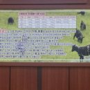 장수골 흑염소 이미지