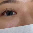 속눈썹 펌 후기｜라벨르무드 – 블랙틴팅 영양 클리닉 무드펌 받았어요