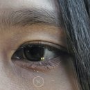 *용인/에버랜드* 호러메이즈 플레이영상, 화이트Z 이용정보 후기