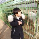 태건농장 이미지