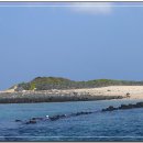 제주 토끼섬 문주란자생지 이미지