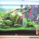 어항카센터 이미지