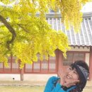 향교로R 이미지