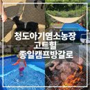 종일농장 | 경북 청도군/청도아기염소체험농장고트힐/종일방갈로이용후기-아기염소먹이주기-대구 근교 아이랑 가볼...