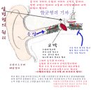 압균형(이퀄라이징의 원리)은 압균형의 기차를 미리 출발 시킨다. 이미지