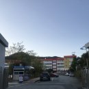 꼬치리아 이미지