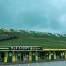 장성댐식당 이미지