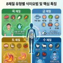 2026 8체질 자가진단 테스트 방법 (집에서 5분만에 확인법)
