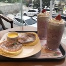 엔제리너스 신모라 이미지