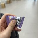 성화농장 | JEJU ISLAND 🏝️