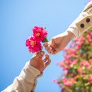 신흥2리마을 이미지