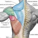 JP PT Studio 이미지