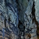 정기목장 이미지