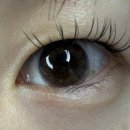 안경나라 위드렌즈 하복대점 이미지