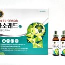 바소 이미지