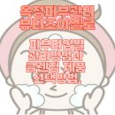 조이엘로 뷰티 이미지