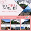 디큐모텔 이미지