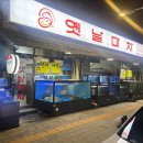 옛날마차 | [목동 횟집] 해산물 포장마차 가을 전어 내돈내산 후기 옛날마차