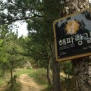 해파랑길 22코스 영덕 블루로드 C 이미지