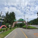서포중학교 | 숲속의집이 매력적인 청송자연휴양림(2020.07.18~19)