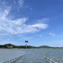 웅도스토리 이미지