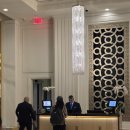 유) 라스베가스 | 라스베가스 신혼여행 일기✈️(15) 트럼프 인터내셔널 호텔/윈호텔 더 뷔페/글로시에/세포라