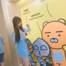 아린이 Daum카페